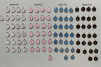 Hat Charms